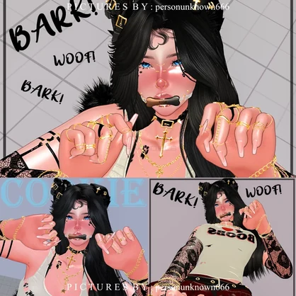 Cookie