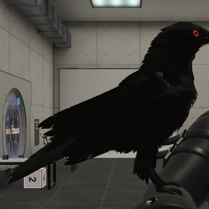 Crow Companion