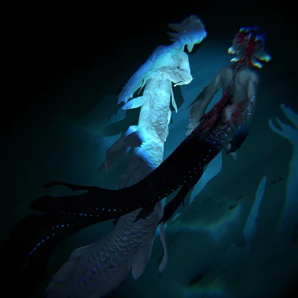 【3D model】シンカイヒトウオ【VRChat avatar】