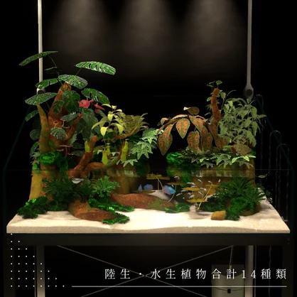 アクアテラリウム水槽 ~RainForest~ 【PC / Android（QUEST）/ iOS対応】