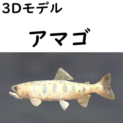 アマゴ【VRChat想定】