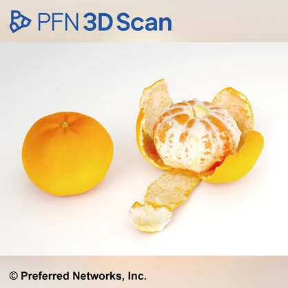 【PFN 3D Scan】みかん（2点セット）