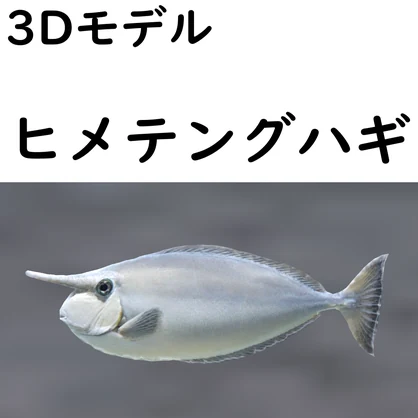 ヒメテングハギ【VRChat想定】