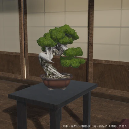 盆栽 黒松 雪嶺｜VRChat向け和風3D置物・幹を貫く白いジン【ワールド装飾】