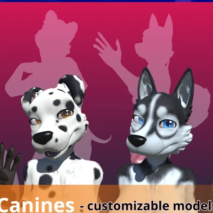 Kuda's canine