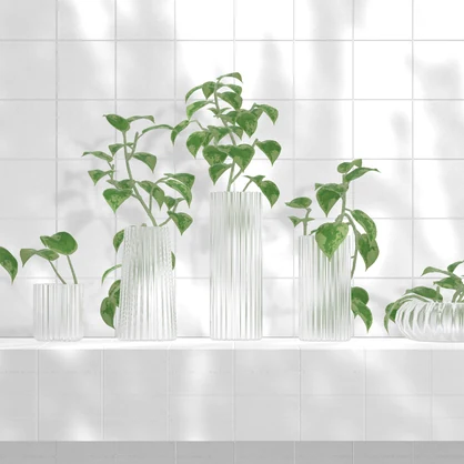 Pothos