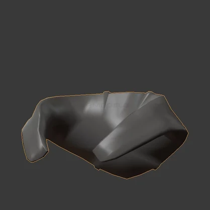 Female Hoodie