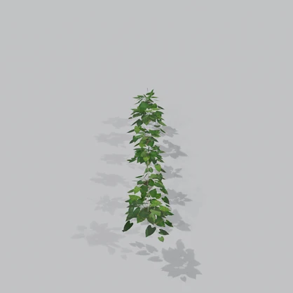 【3Dモデル】吊り下げハンギングプランター(ポトス)6種セット | 6 hanging planters with pothos vines trailing over the rim
