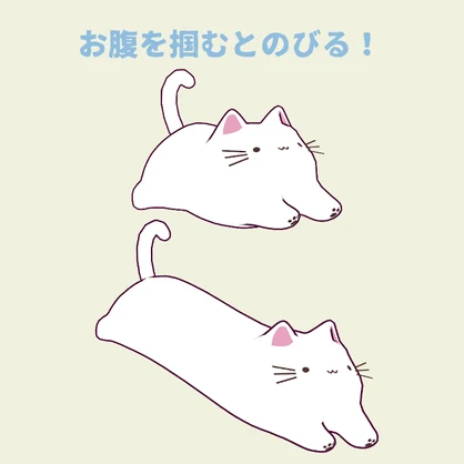 【猫の日】のびる！もちもちねこ【Physbone】