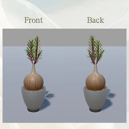 【3Dモデル】多肉植物セットA/Succulent Plants Set A【2点】