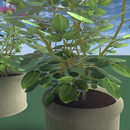 【３Dモデル】Rose Assets