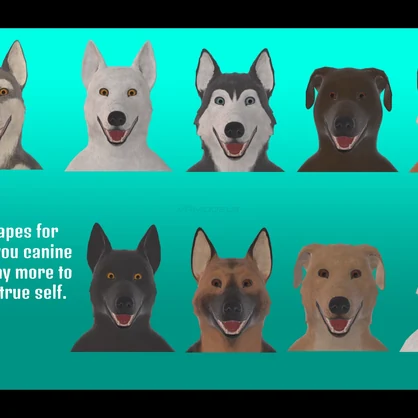 Completely Canine