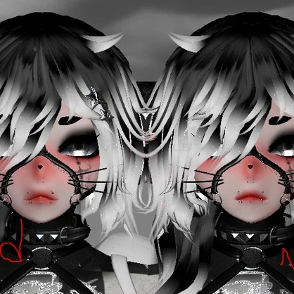 Rakku