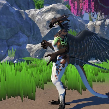 Bird wings